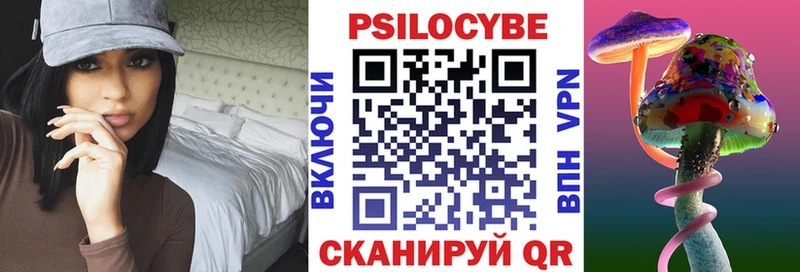Псилоцибиновые грибы Cubensis  Гуково 
