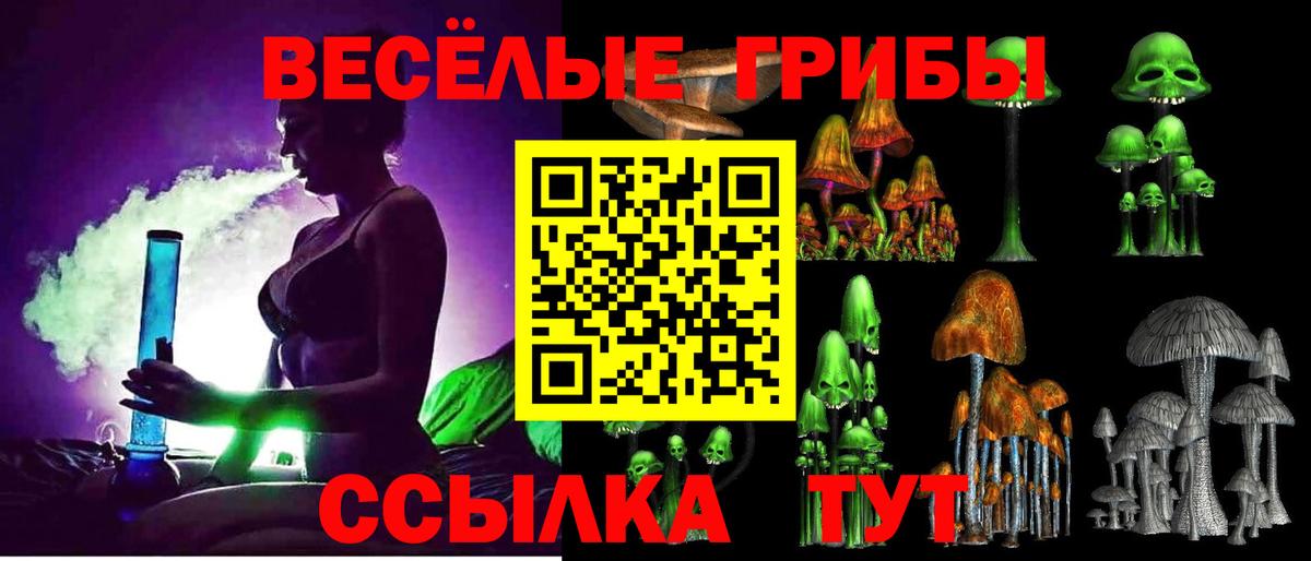 Псилоцибиновые грибы MAGIC MUSHROOMS  Вход с VPN  цена   Галлюциногенные грибы ЛСД  Гуково 